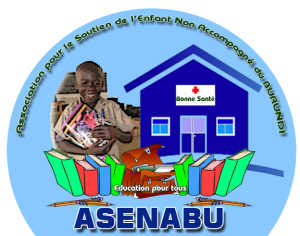 RAPPORT D’ANALYSE ET APPRÉCIATION DES RÉALISATIONS DE L’ASENABU PENDANT UNE PÉRIODE DE 20 ANS ( DE 2002 À 2022)